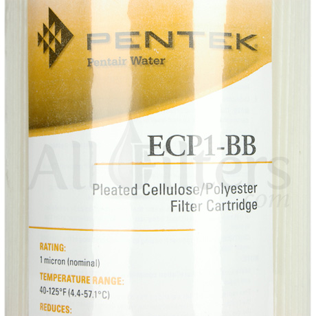 Pentek ECP1-BB