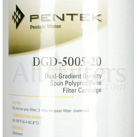 Pentek DGD-5005-20