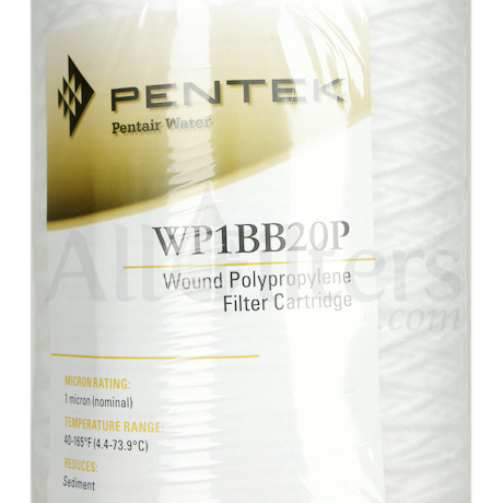 Pentek WP1BB20P