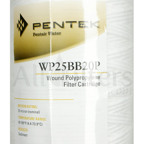 Pentek WP25BB20P