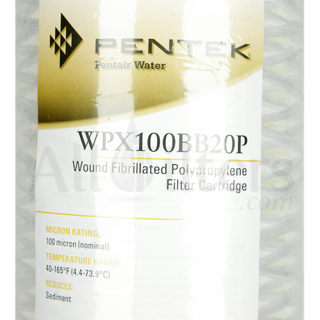 Pentek WPX100BB20P
