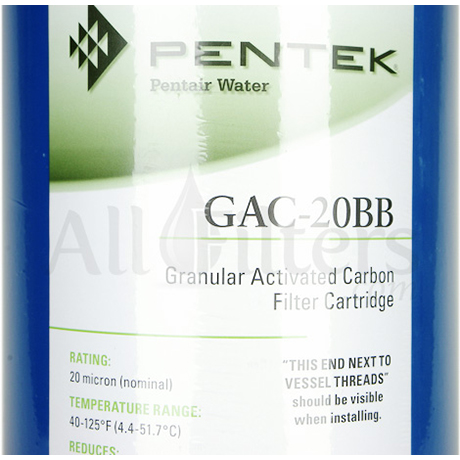 Pentek GAC20-BB