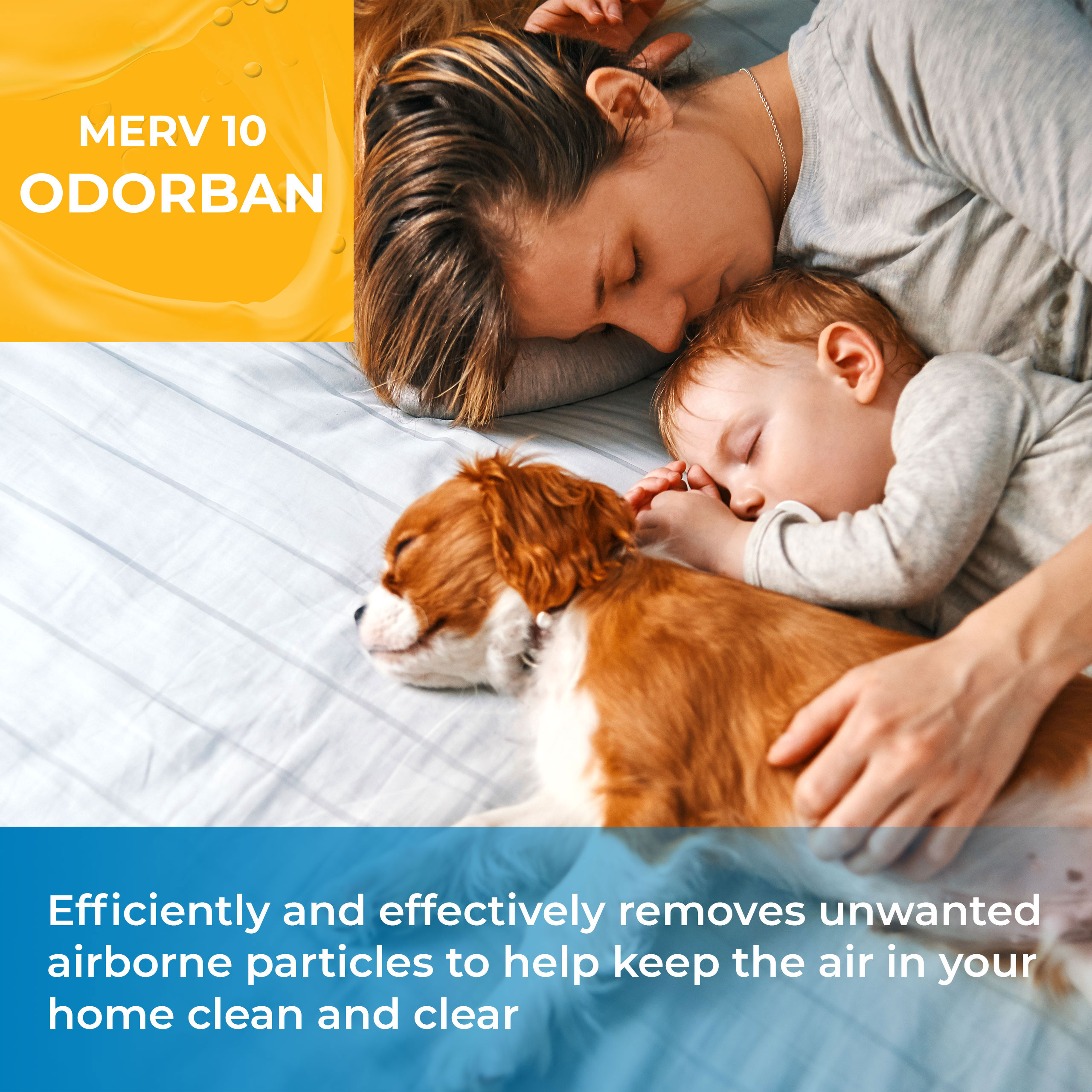 odor eliminator 12x24x4