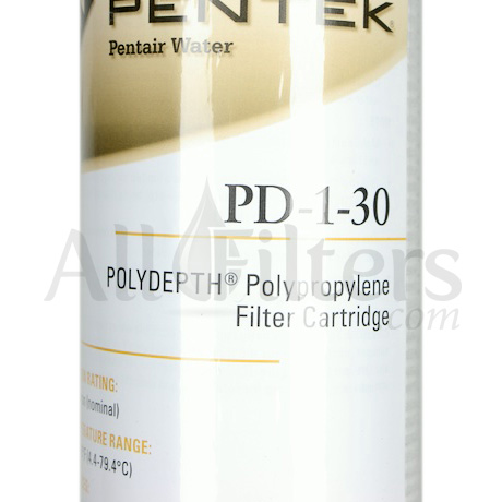 Pentek PD-1-30