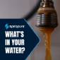 Pentek PD-50-20