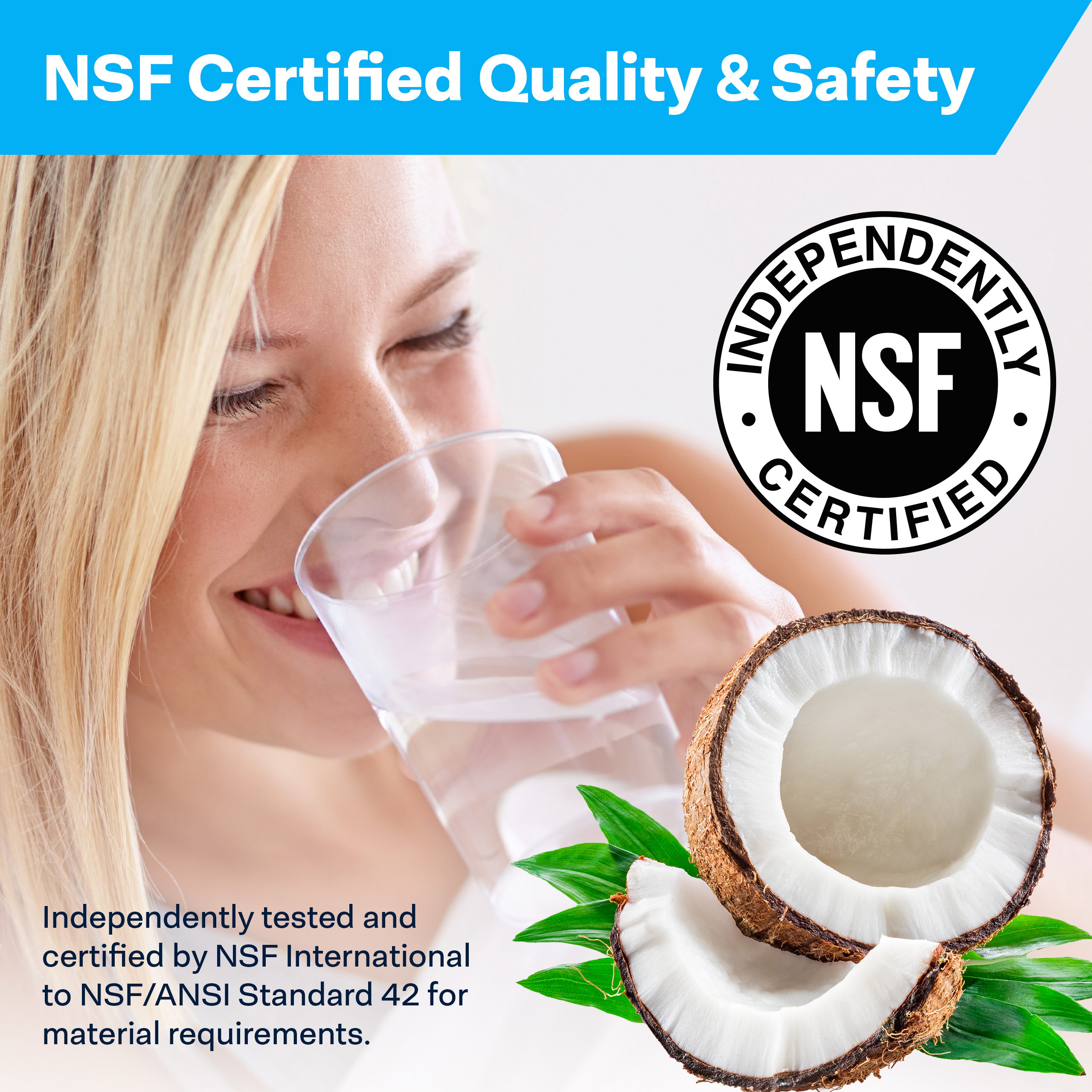 SPEP20BB 20x4.5 PAC NSF Carbon Block Water Filter 26.02