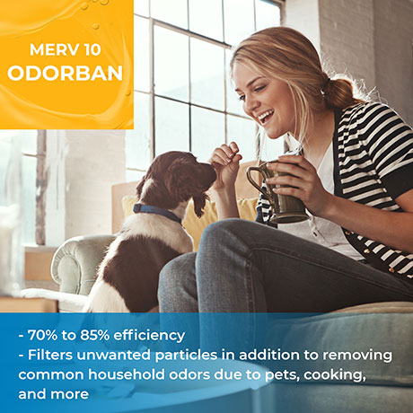 10x33x1 OdorBan