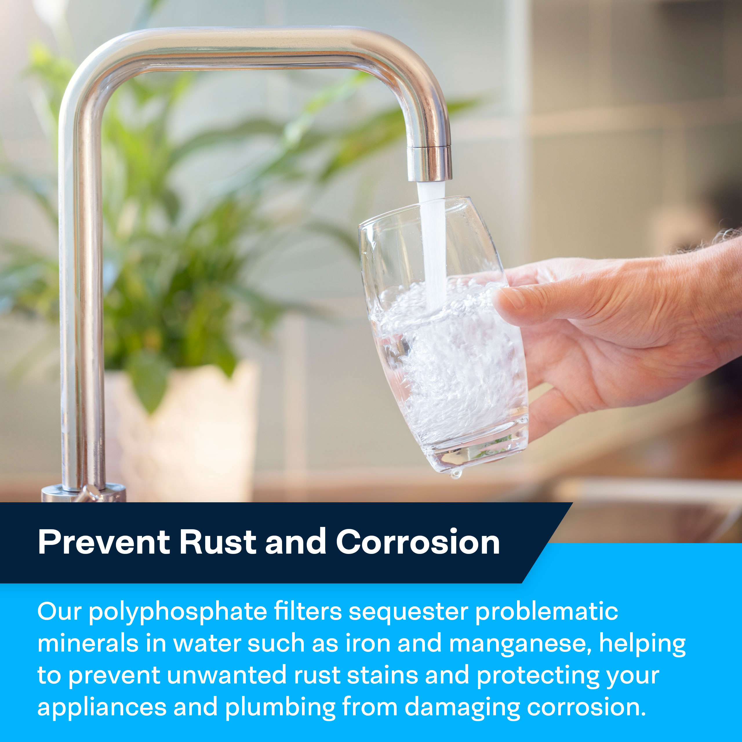 10x2.5 Polyphosphate