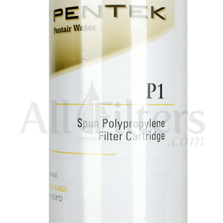 Pentek P1