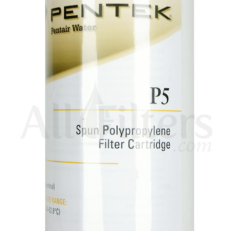 Pentek P5 155014-43