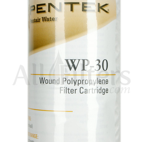 Pentek WP-30
