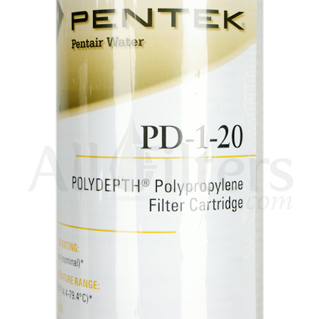 Pentek PD-1-20