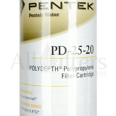Pentek 255042-75, Sac filtrant 25 microns taille 1 - Pk20, 4bb68